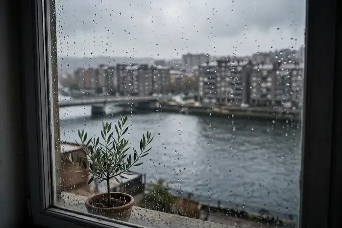La ría de Bilbao a su paso por Deusto, vista a través de una ventana con gotas de lluvia y un olivo en el alféizar